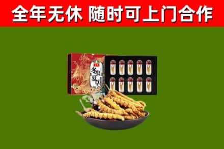 西林回收冬虫夏草价格